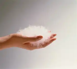 綿を持っている画像